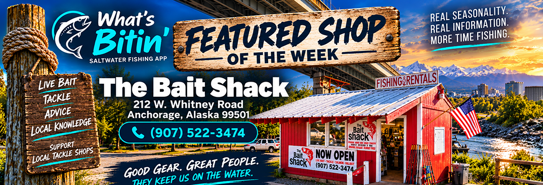 Featured Shop of the Week